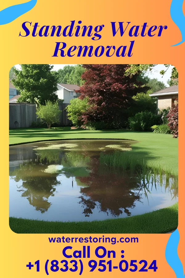 Standing Water Removal in Pascola, MO
